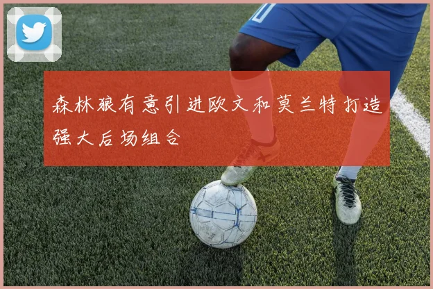 森林狼有意引进欧文和莫兰特打造强大后场组合